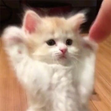 Ảnh đại diện người dùng Lê Thị Hồng